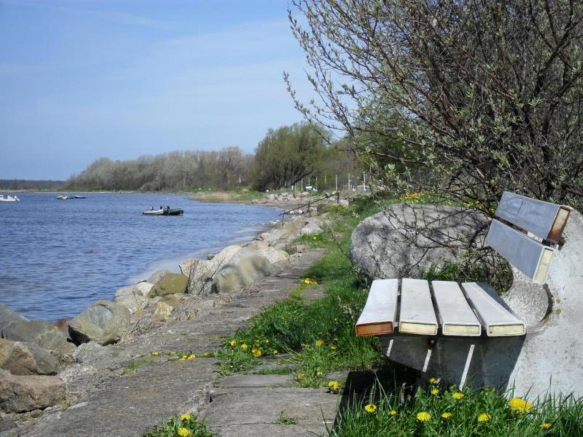 Hotel-Pension Zur Mole Wiek auf Rügen المظهر الخارجي الصورة